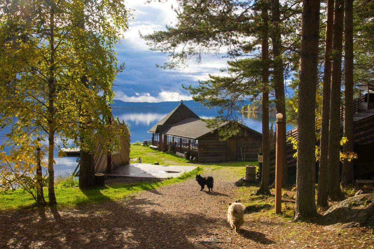 Herranniemi Guesthouse Vuonislahti Exteriér fotografie